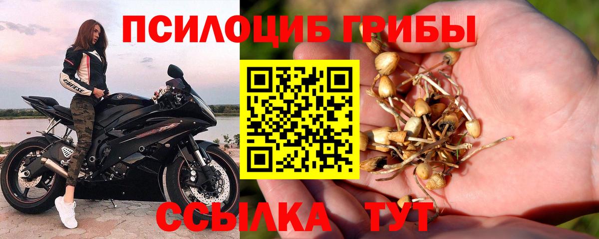 Галлюциногенные грибы Psilocybe  Вход с VPN  Псилоцибиновые грибы мицелий  Урюпинск 