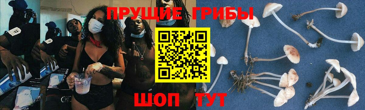 Каннабис Урюпинск
